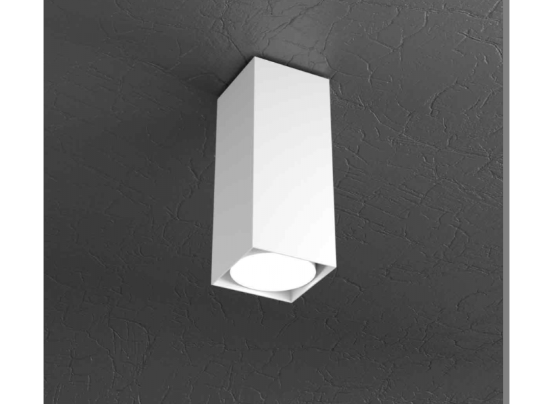 PLATE PLAFONIERA TUBO H.25 1 LUCE BIANCO